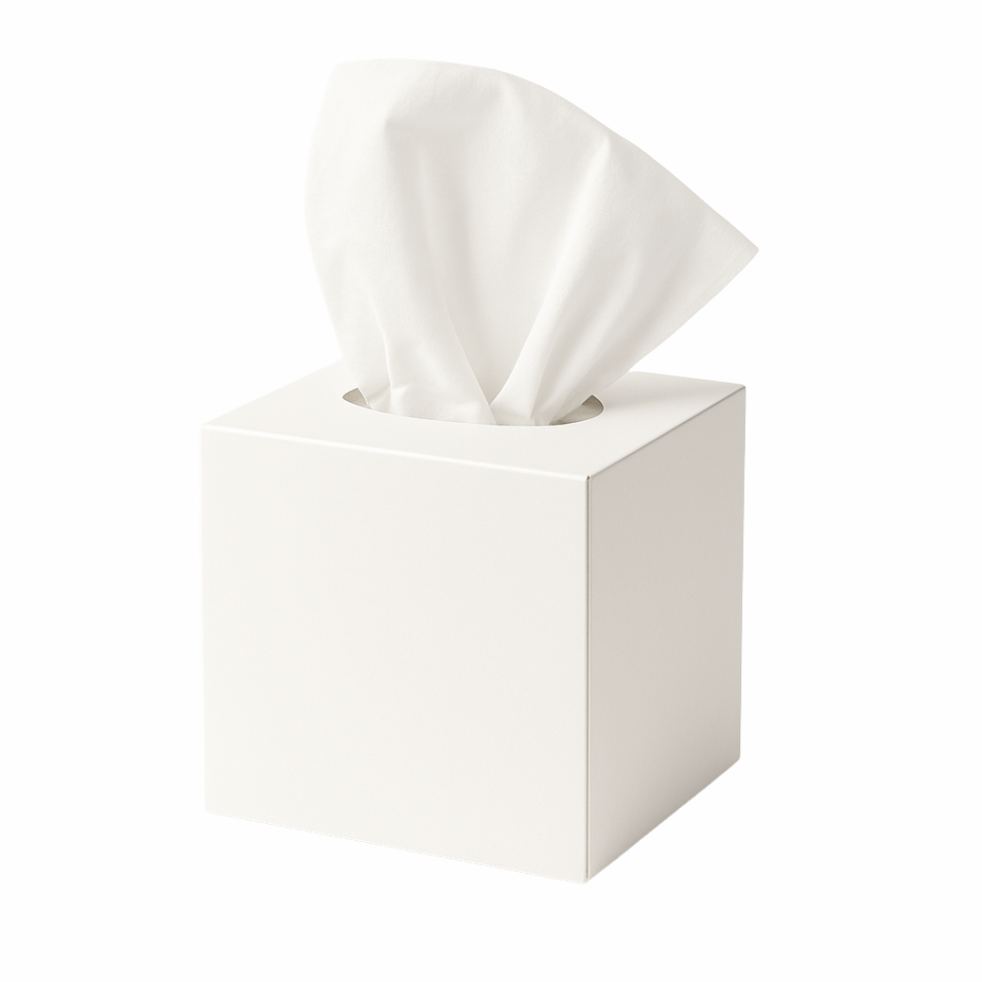 https://staviantissue.vn/wp-content/uploads/2025/03/facial-cube-box-2.png