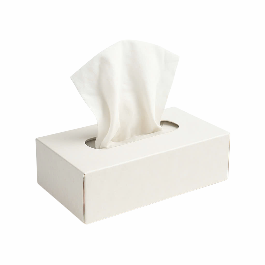 https://staviantissue.vn/wp-content/uploads/2025/03/facial-flat-box.png